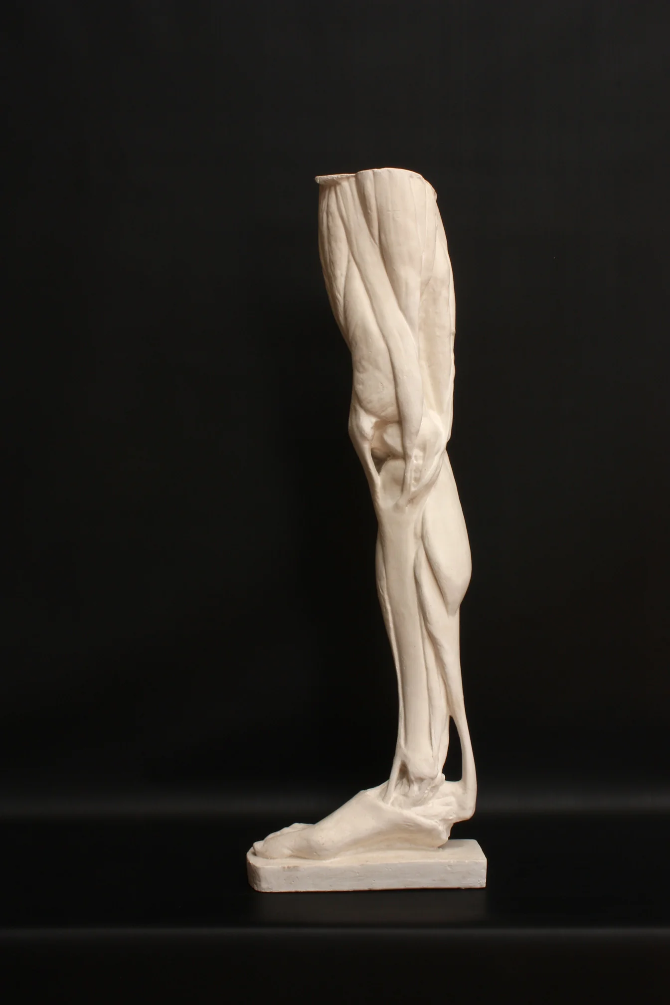 Leg, Right - Item #402 - Image 4