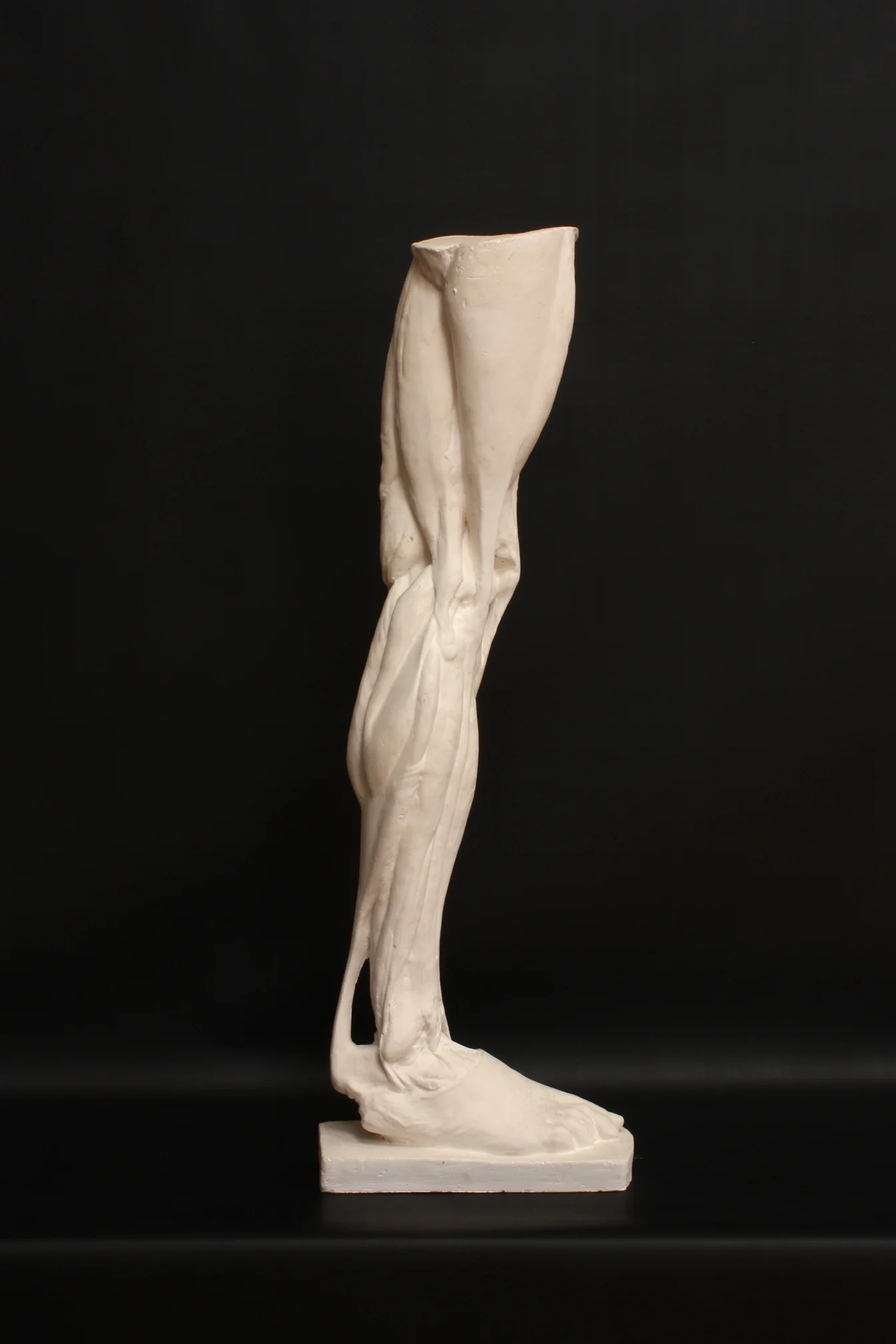 Leg, Right - Item #402 - Image 5