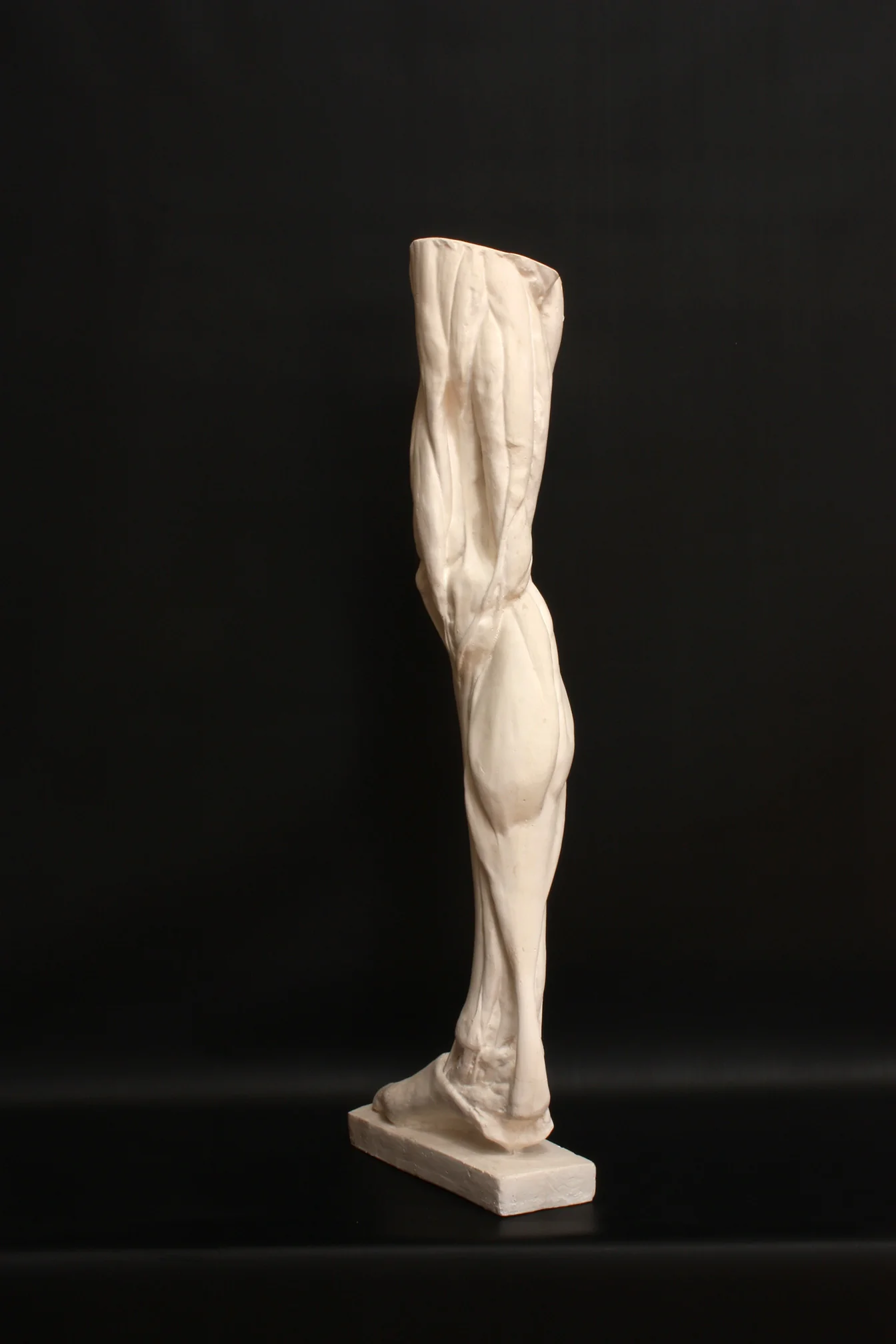 Leg, Right - Item #402 - Image 6