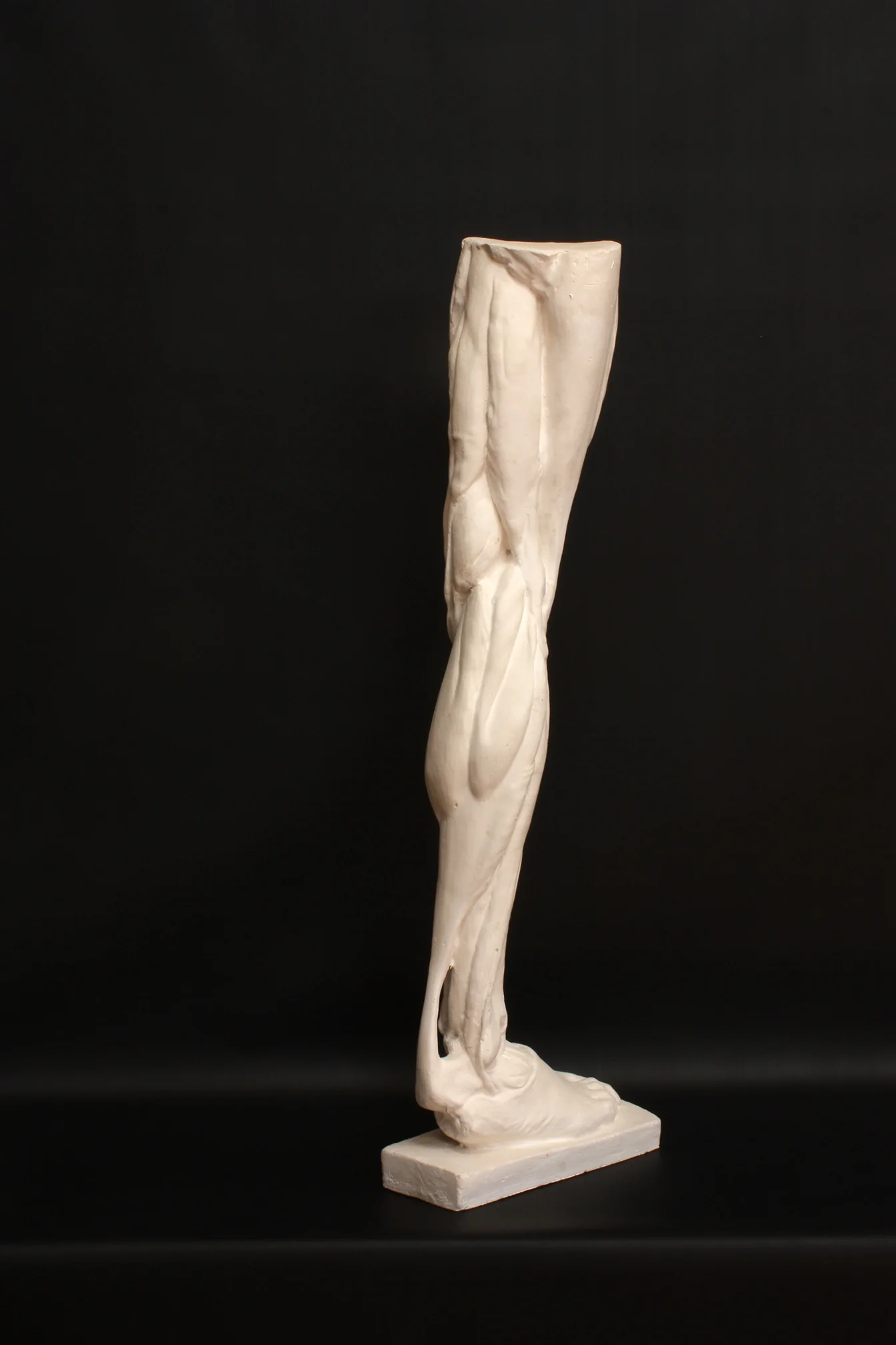 Leg, Right - Item #402 - Image 7