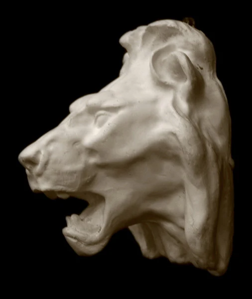 Lion - Item #705 - Image 2