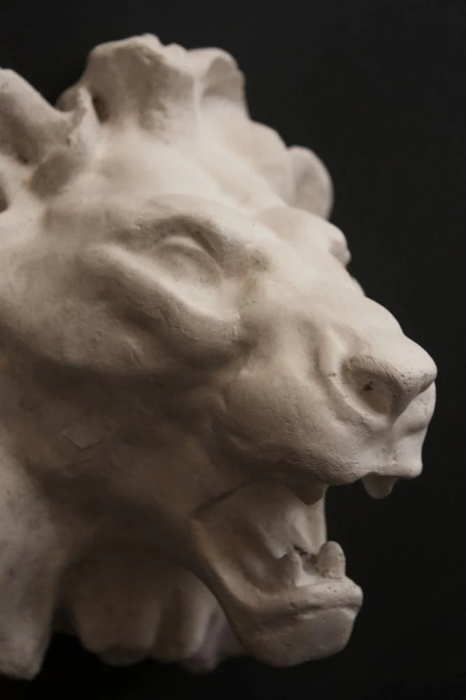 Lion - Item #705 - Image 3