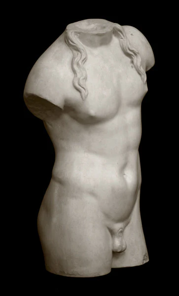 Male, Anatomical - Item #617 - Image 2