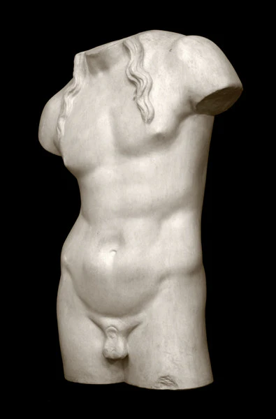 Male, Anatomical - Item #617 - Image 3