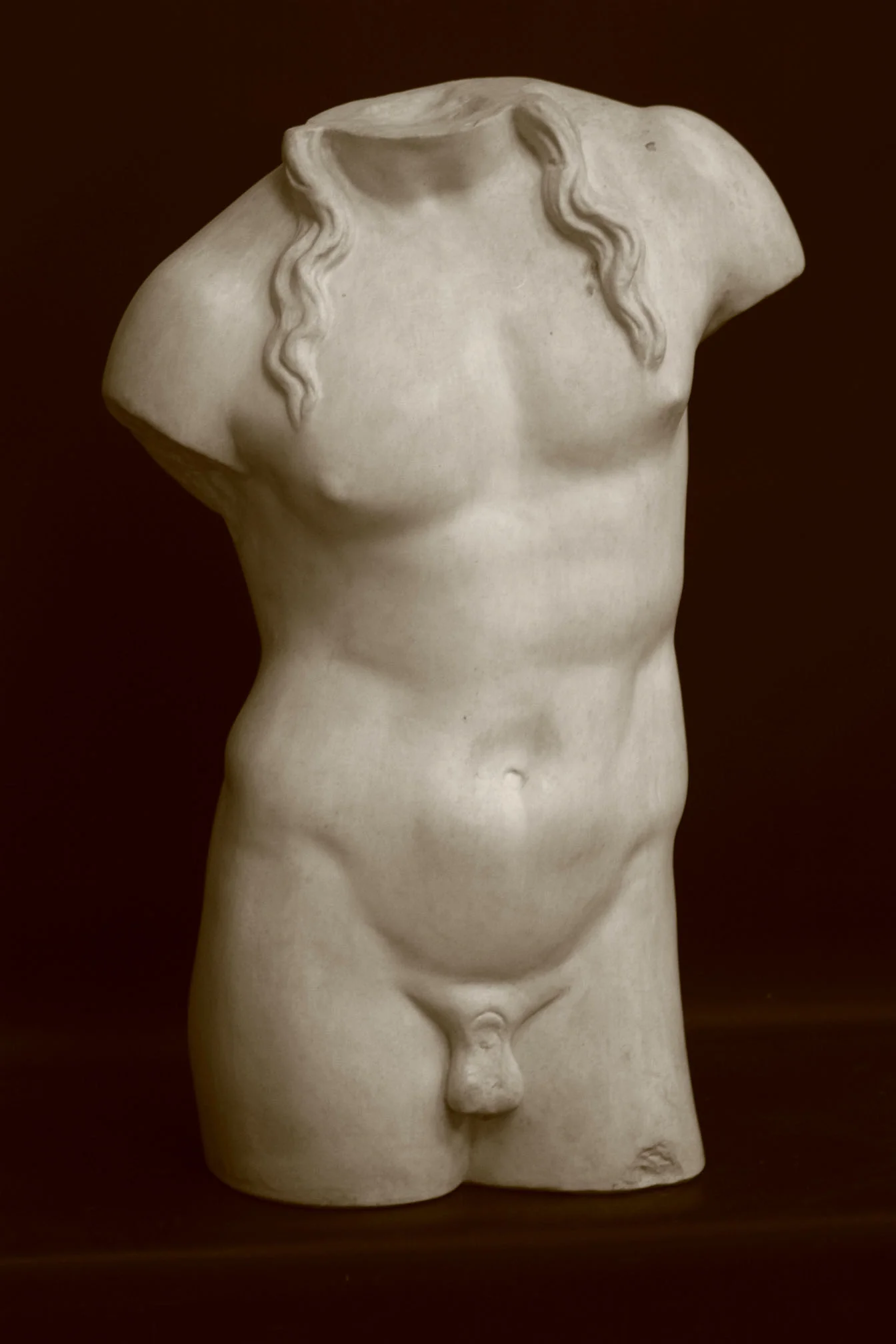 Male, Anatomical - Item #617 - Image 4