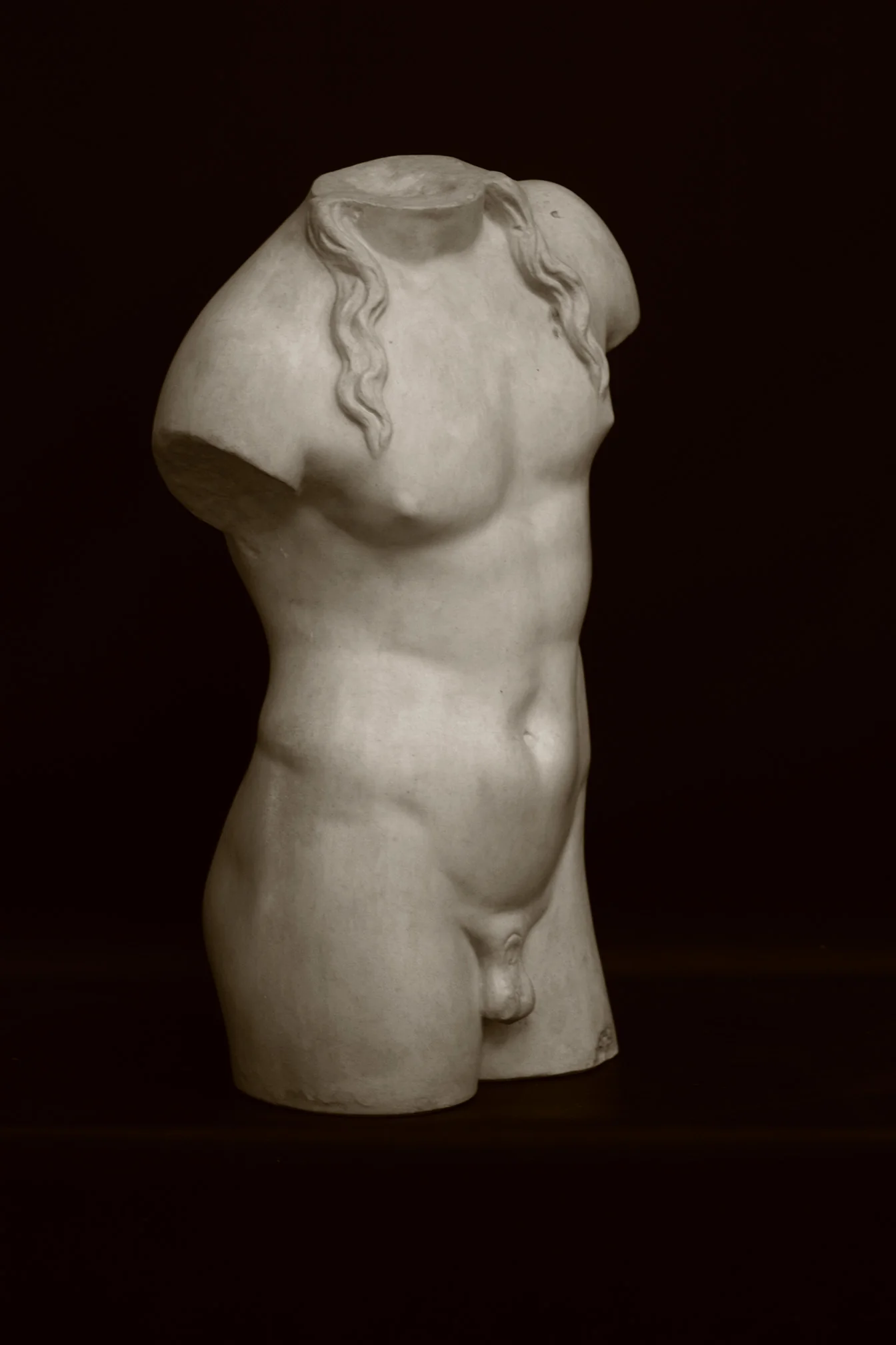 Male, Anatomical - Item #617 - Image 6
