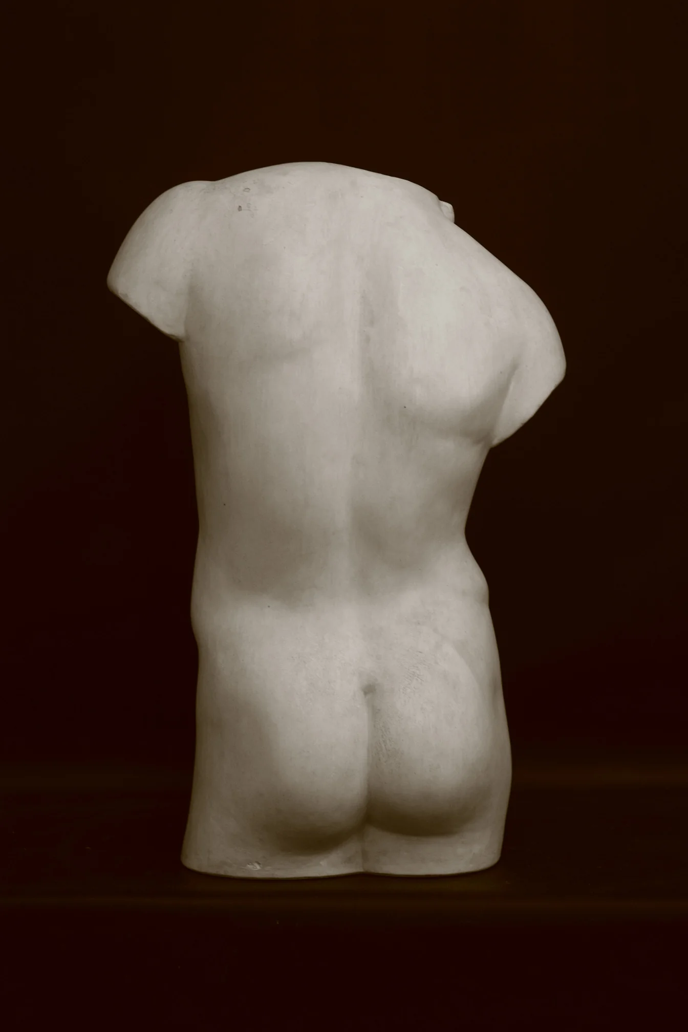 Male, Anatomical - Item #617 - Image 7