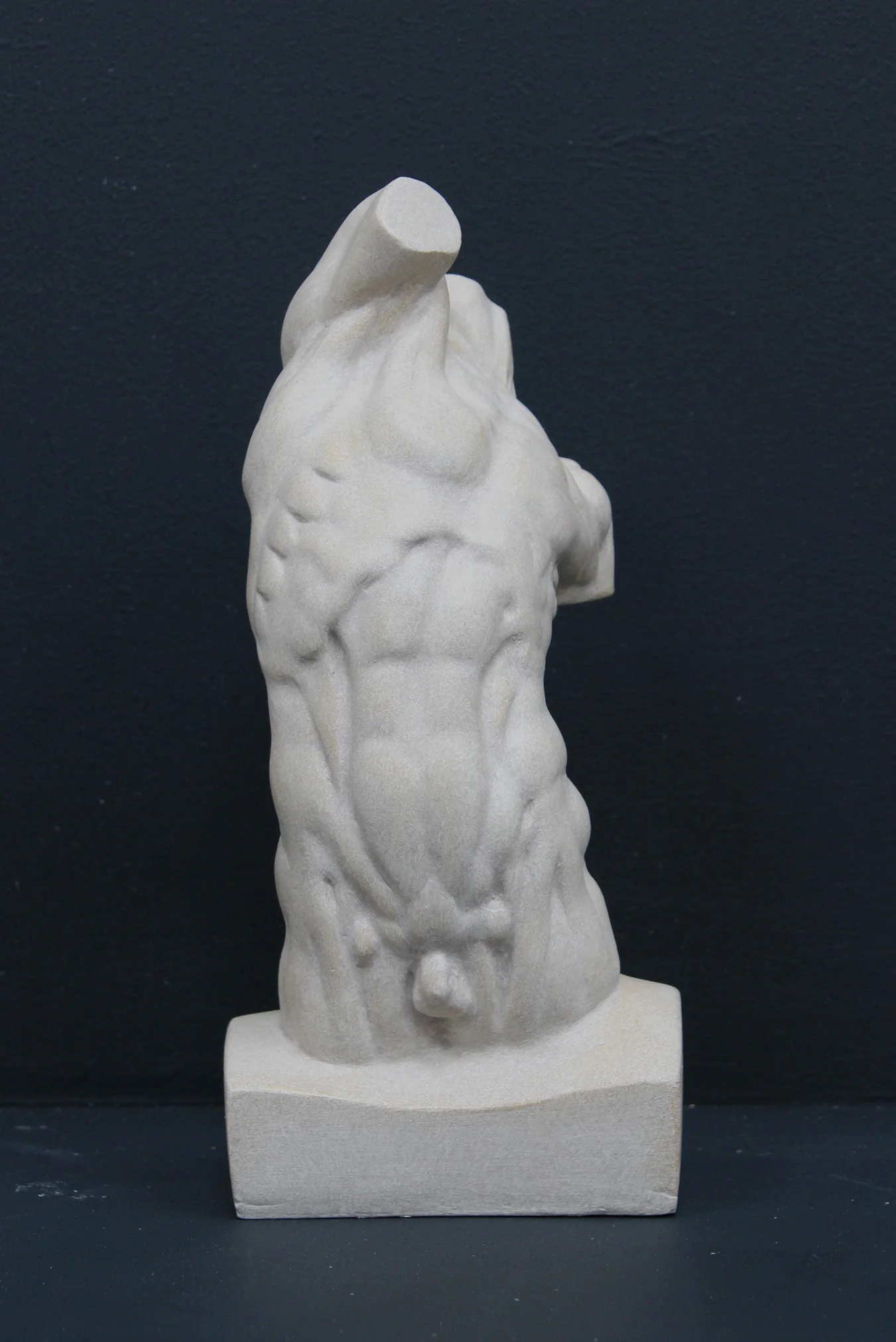 Male, Anatomical - Item #640 - Image 3