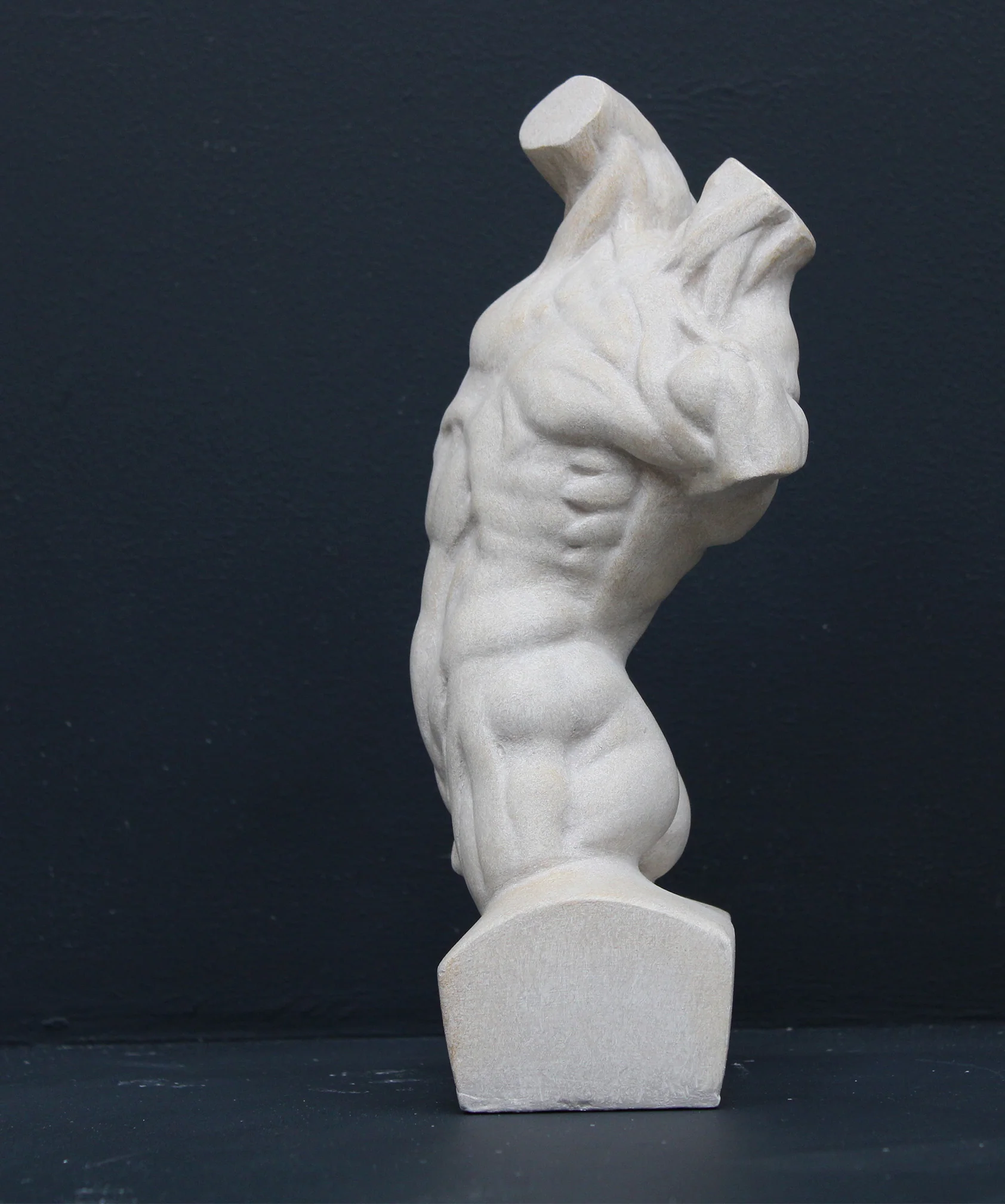 Male, Anatomical - Item #640 - Image 4