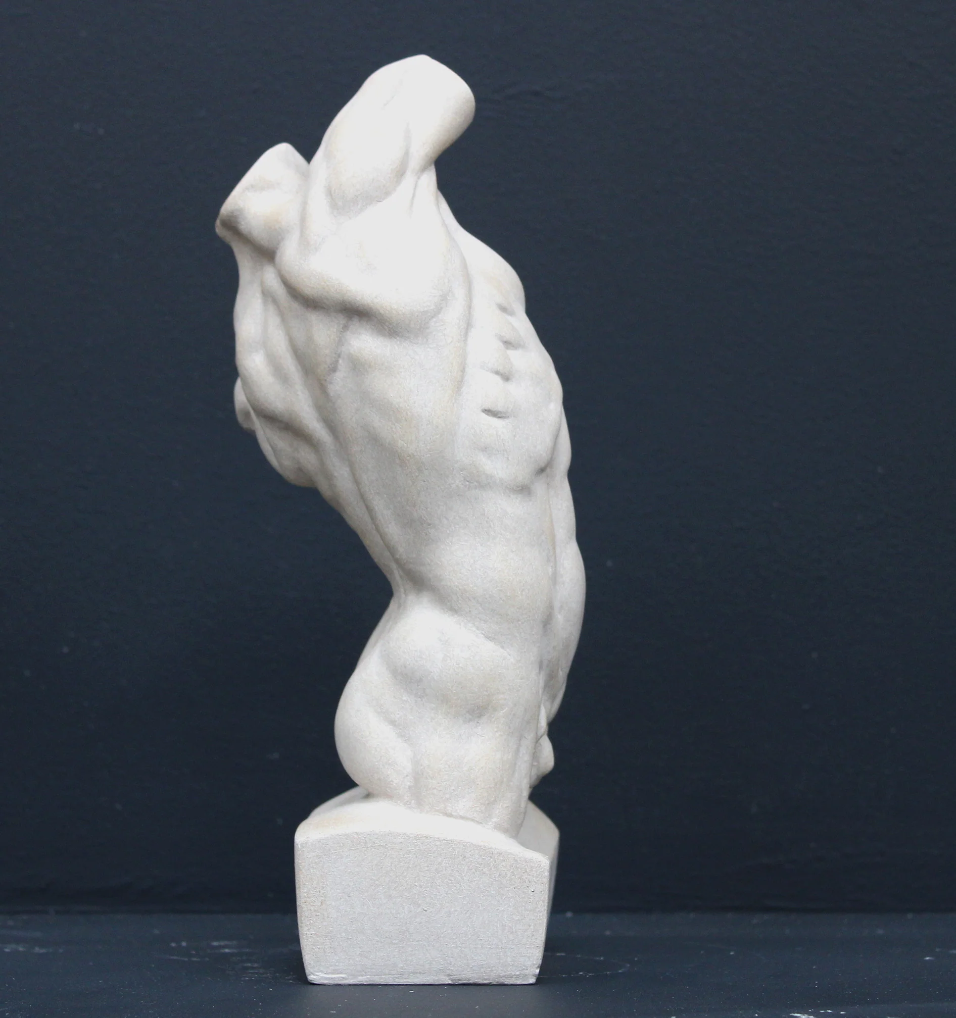 Male, Anatomical - Item #640 - Image 5