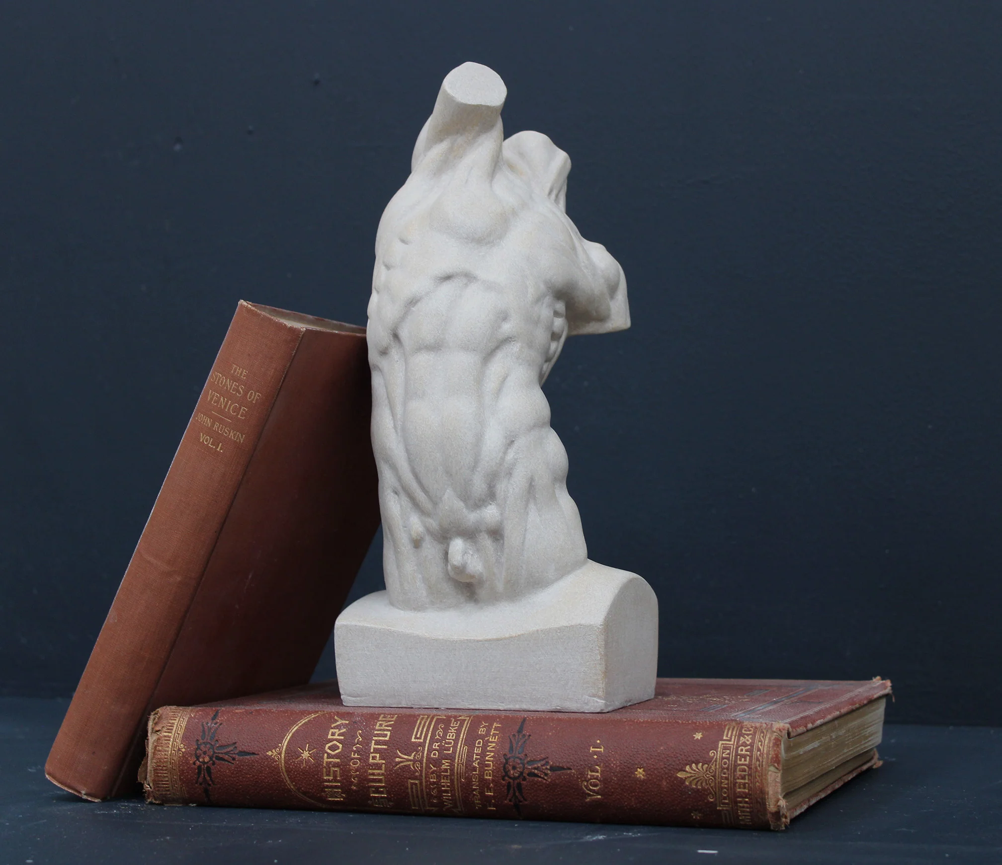 Male, Anatomical - Item #640 - Image 6
