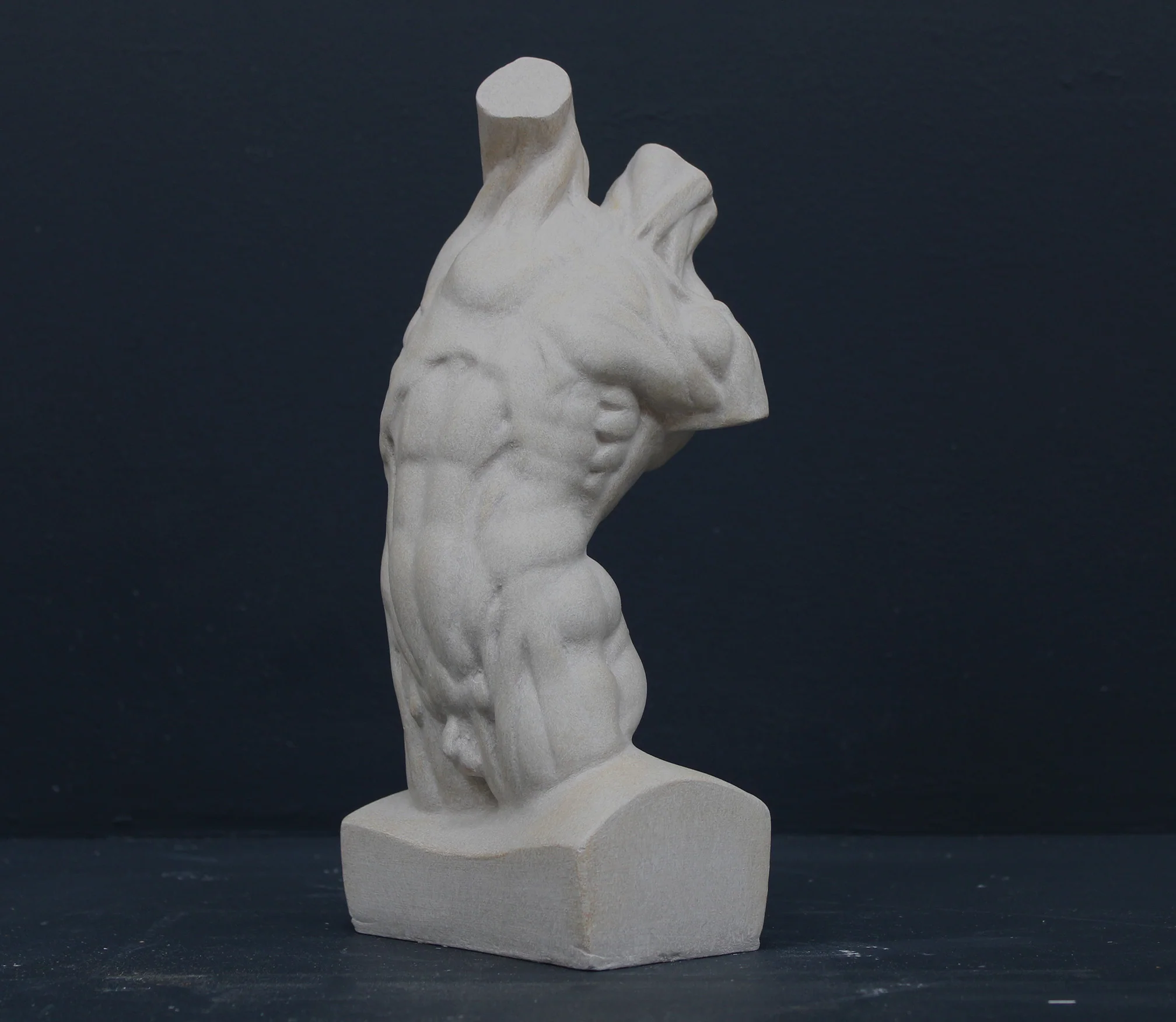 Male, Anatomical - Item #640 - Image 7