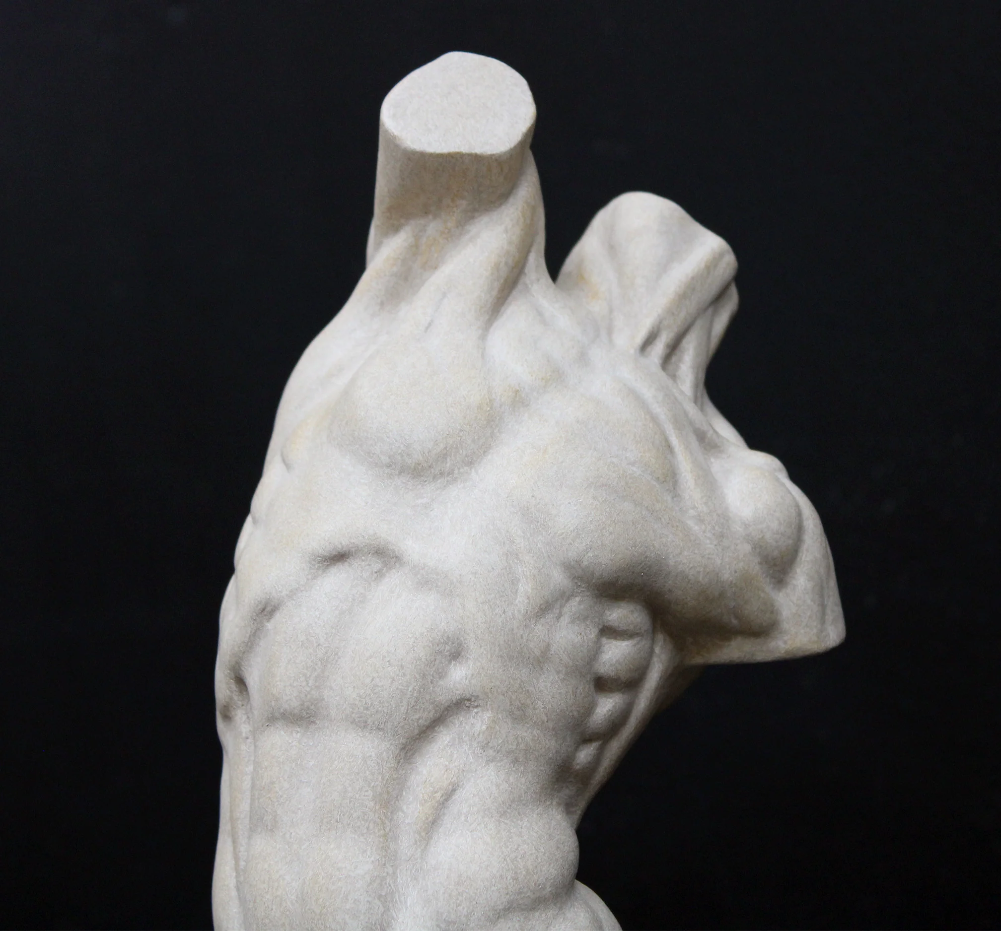 Male, Anatomical - Item #640 - Image 8