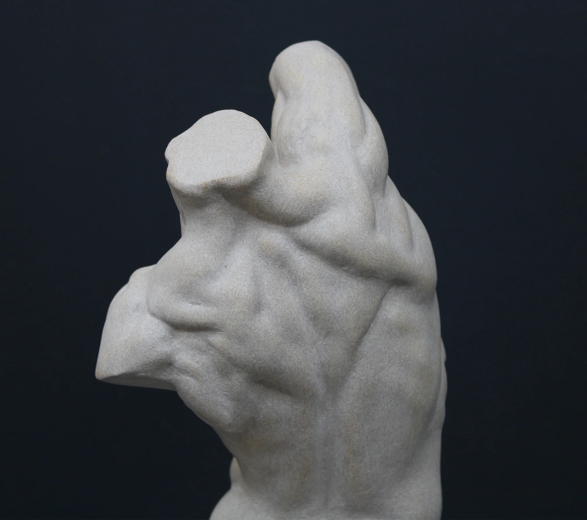 Male, Anatomical - Item #640 - Image 9