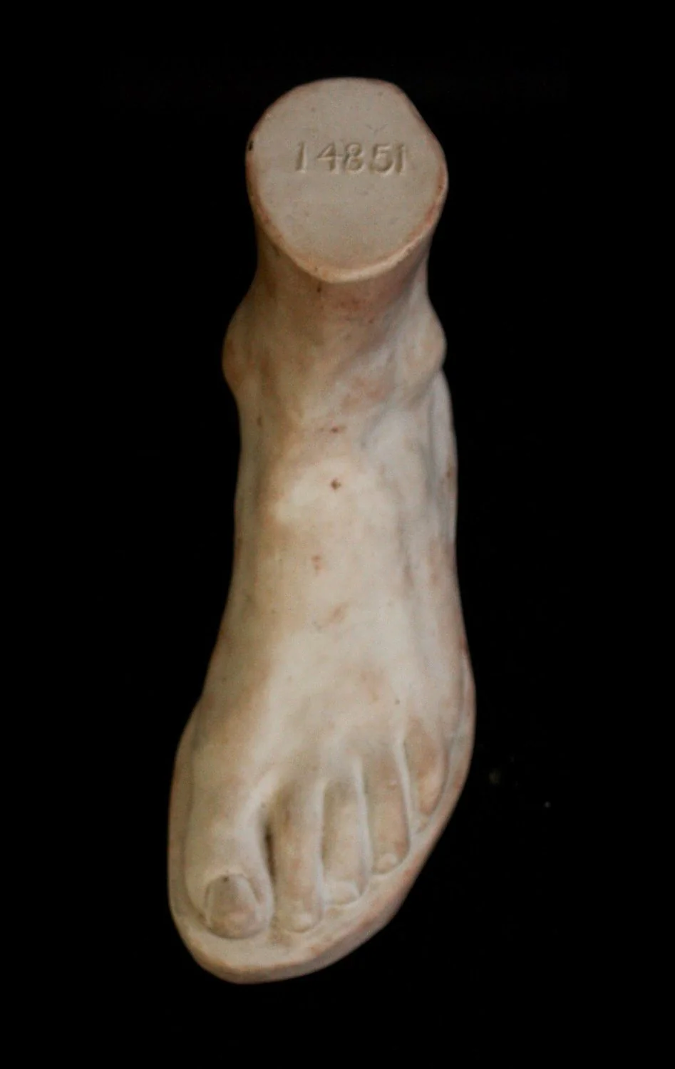 Male Foot - Item #618 - Image 2