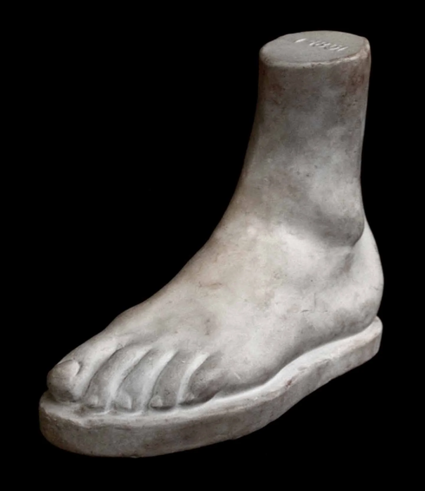 Male Foot - Item #618 - Image 3