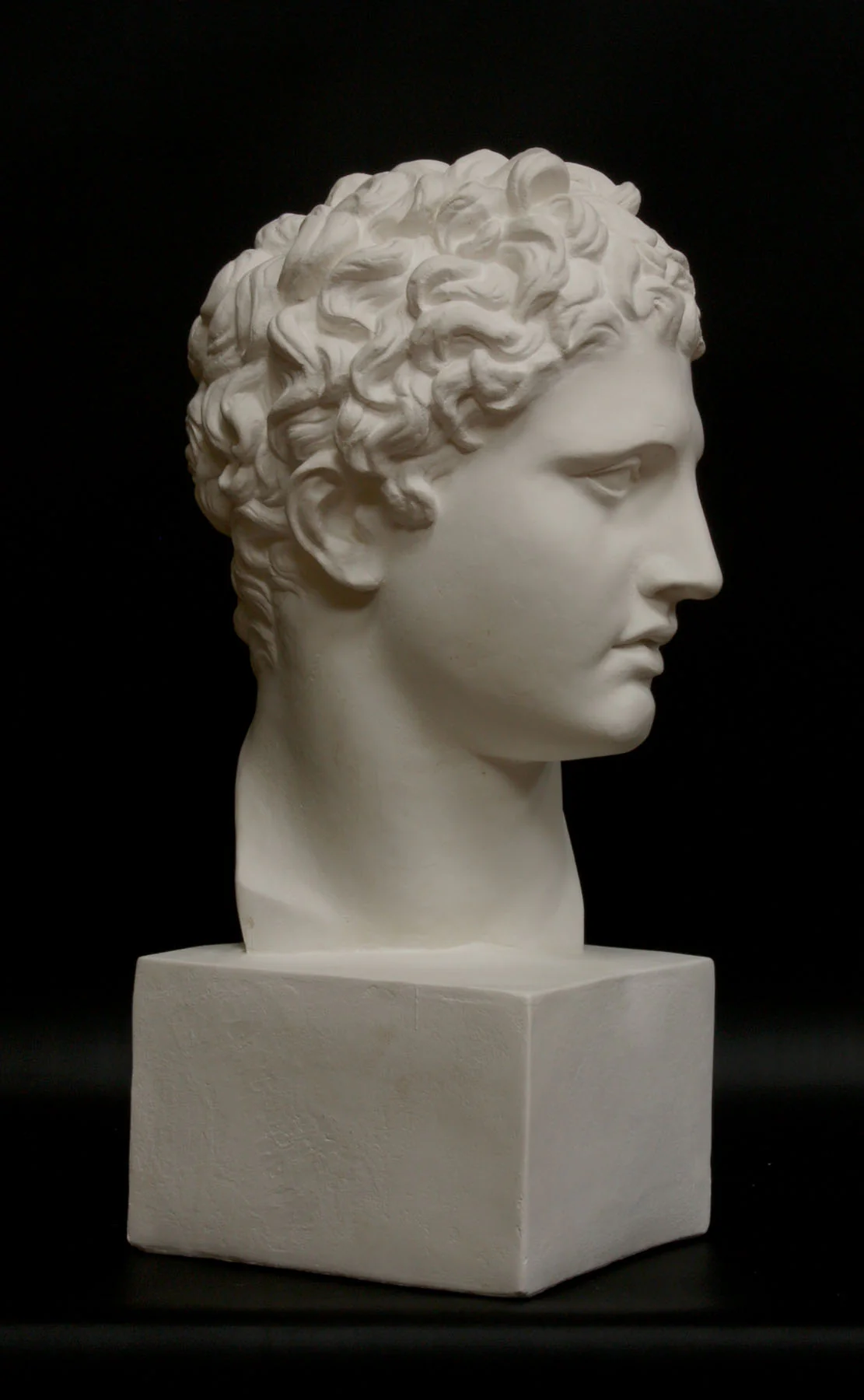 Meleager - Item #200 - Image 4