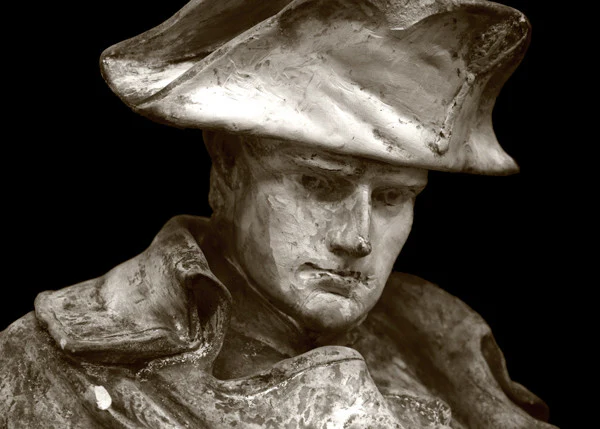 Napoleon Bonaparte - Item #799 - Image 3