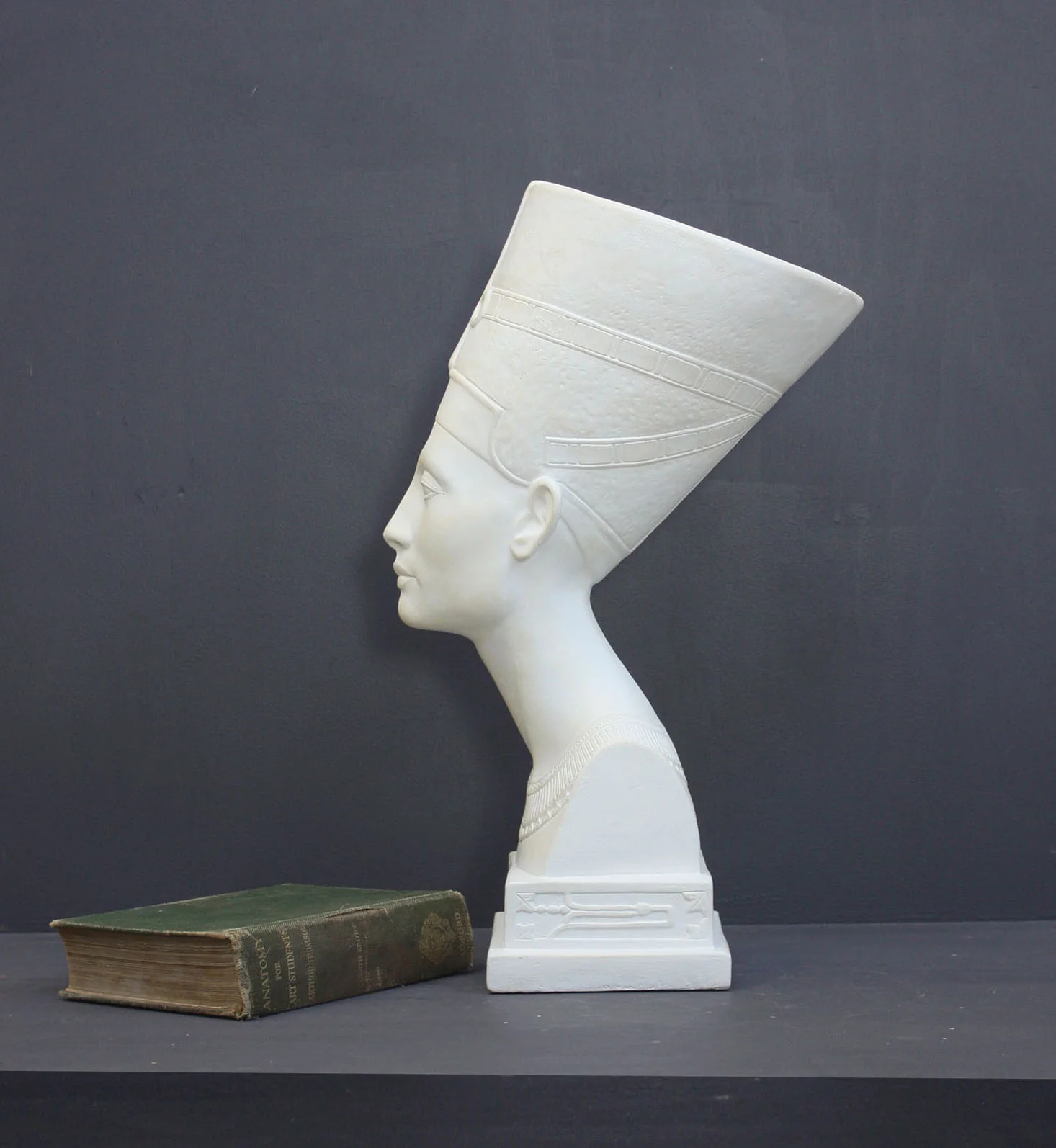 Nefertiti Reduction - Item #83 - Image 10