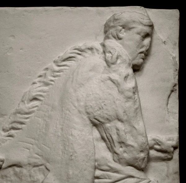 Parthenon Frieze, Southern XI - Item #755 - Image 5