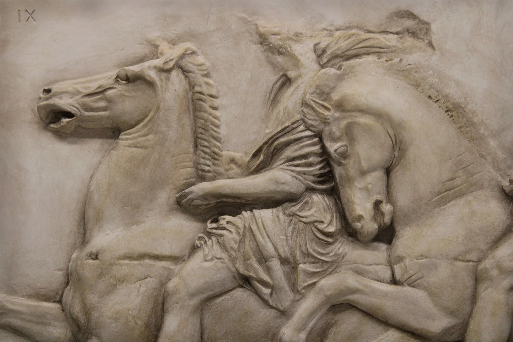 Parthenon Frieze, Western IX - Item #191 - Image 3