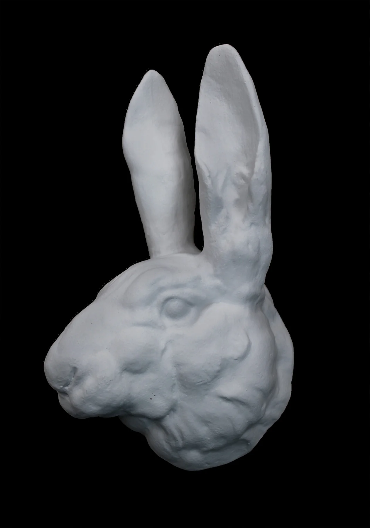 Rabbit Head - Item #174