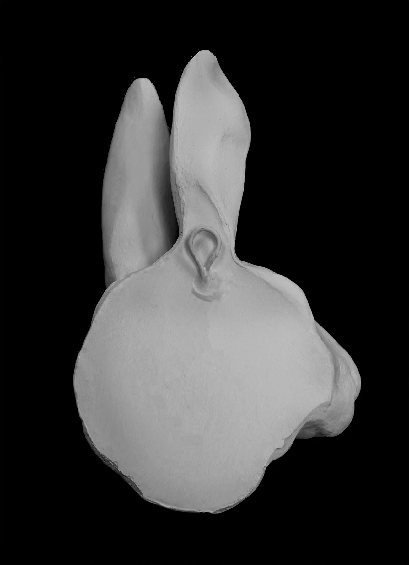 Rabbit Head - Item #174 - Image 2