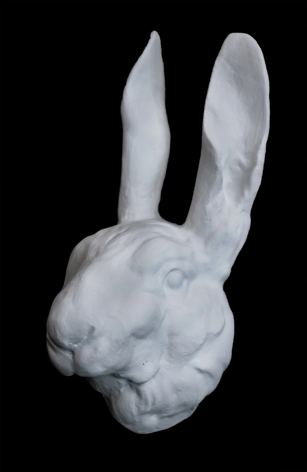 Rabbit Head - Item #174 - Image 3