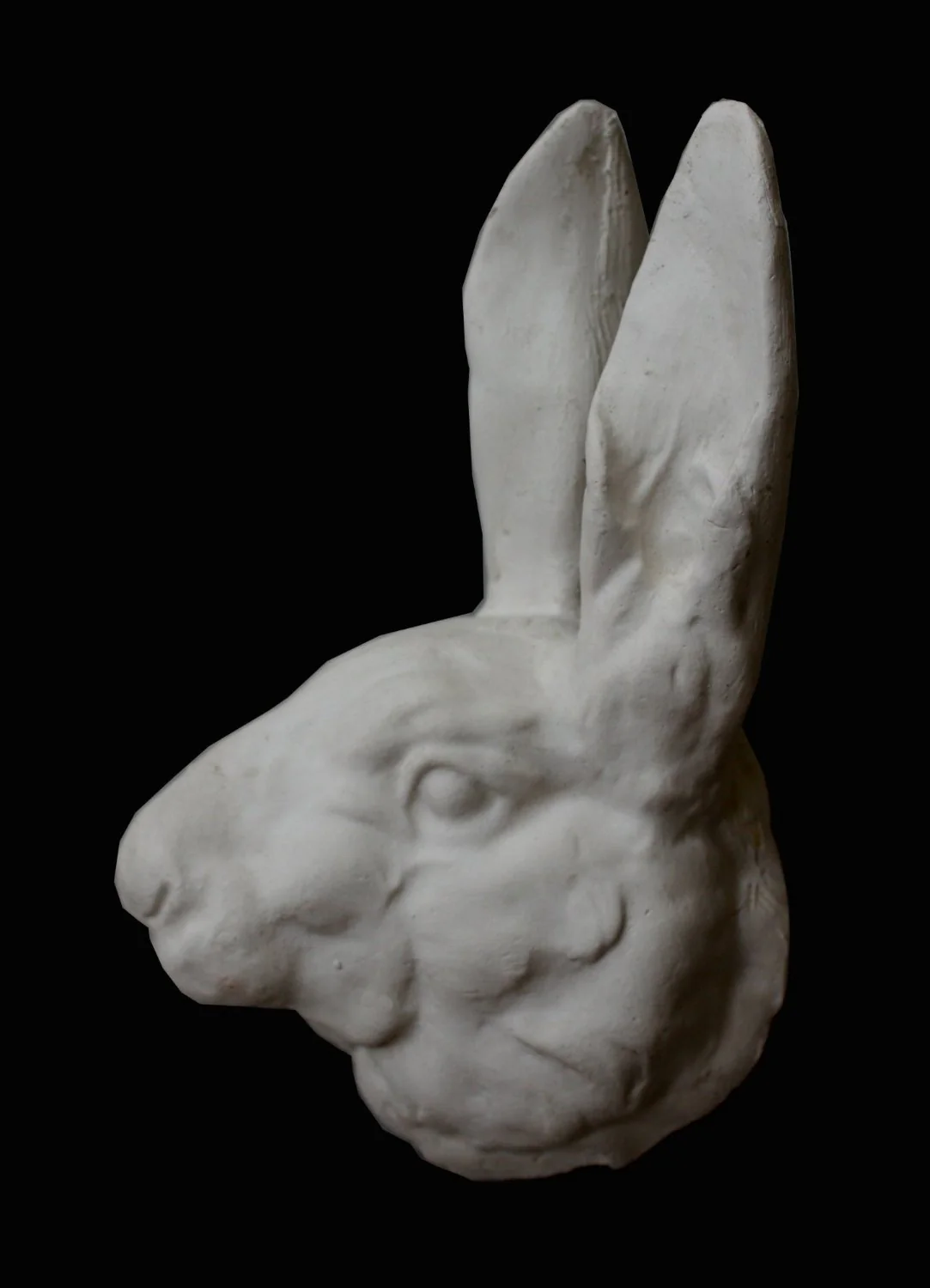 Rabbit Head - Item #174 - Image 4