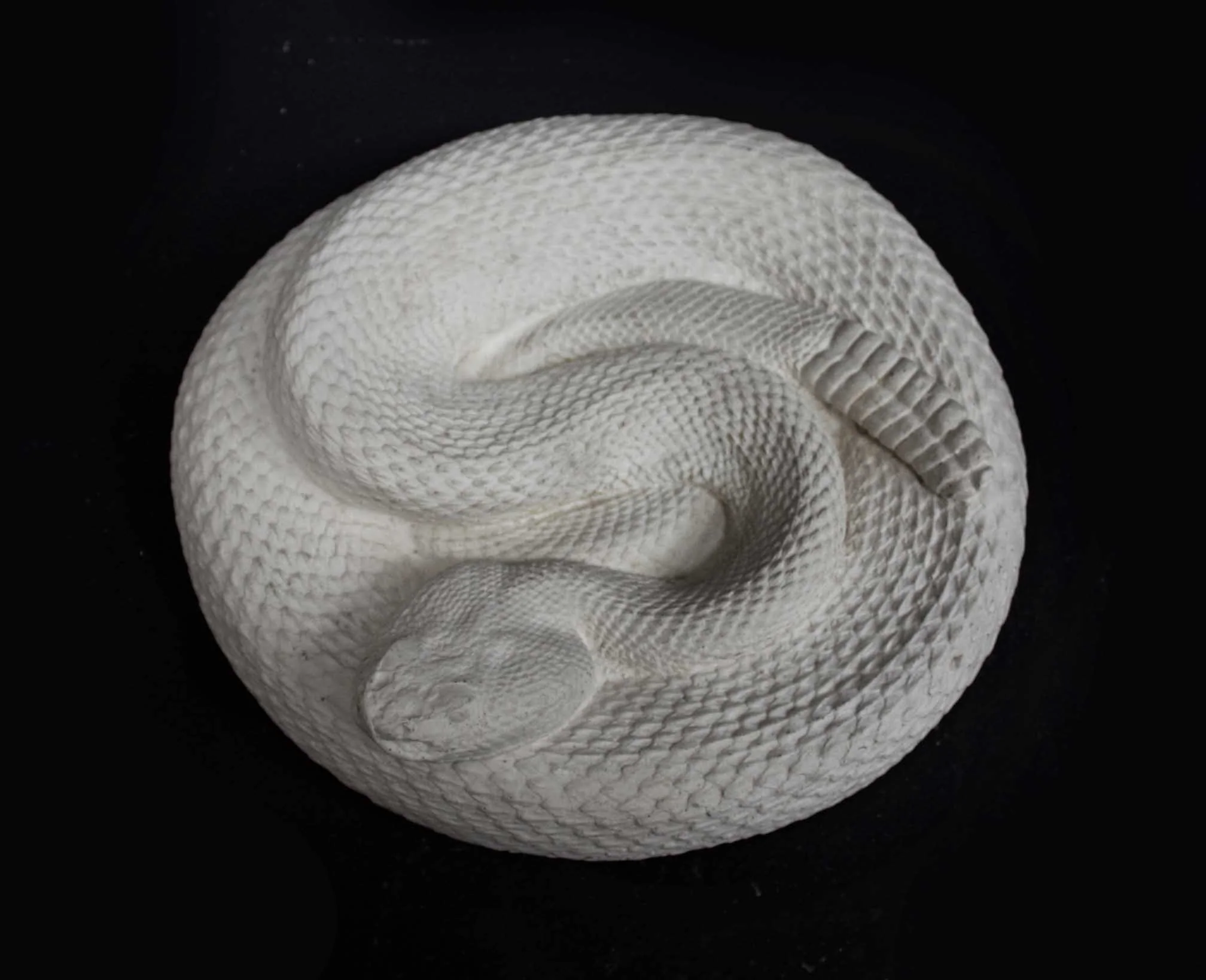 Snake - Item #701