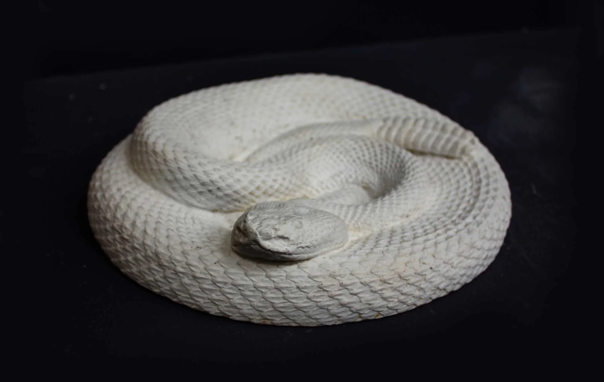 Snake - Item #701 - Image 2
