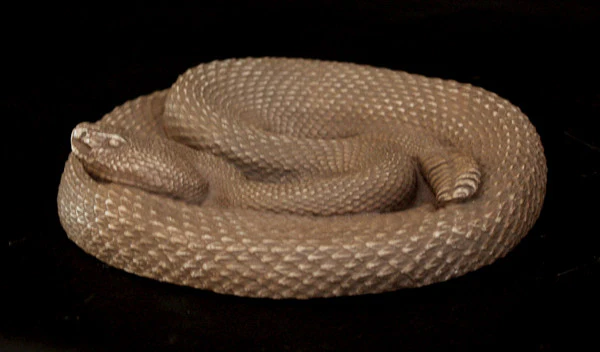 Snake - Item #701 - Image 5