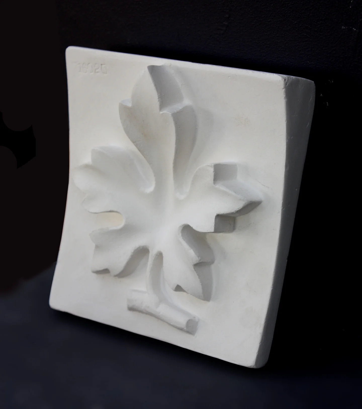 Study of Fig Leaf - Item #353 - Image 2