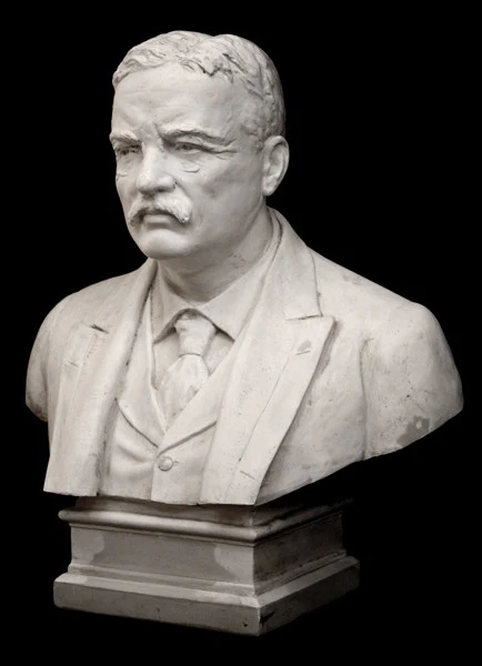 Theodore Roosevelt - Item #785 - Image 2