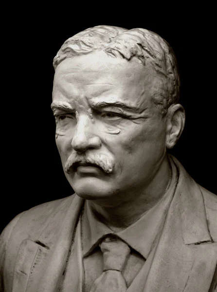 Theodore Roosevelt - Item #785 - Image 3