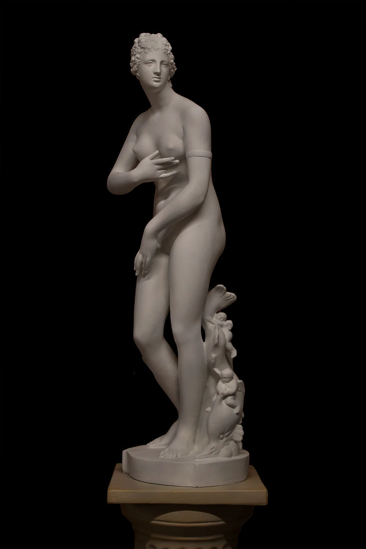 Venus de' Medici - Item #214 - Image 2