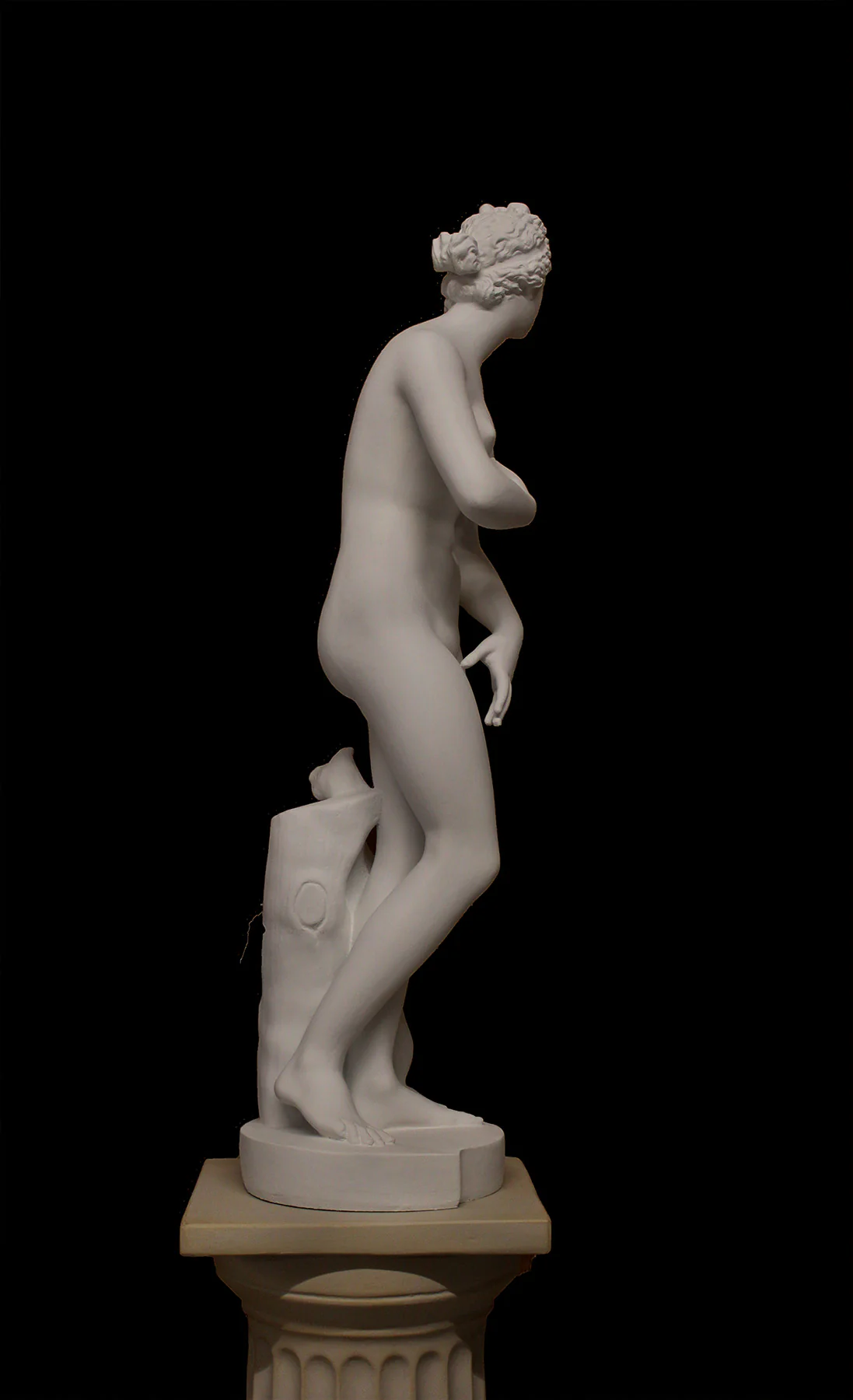 Venus de' Medici - Item #214 - Image 5