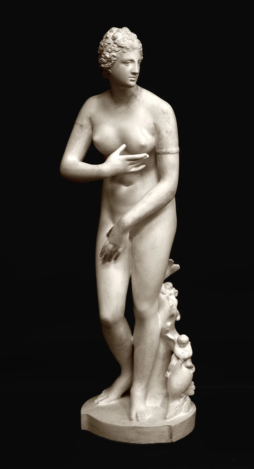 Venus de' Medici - Item #214 - Image 8