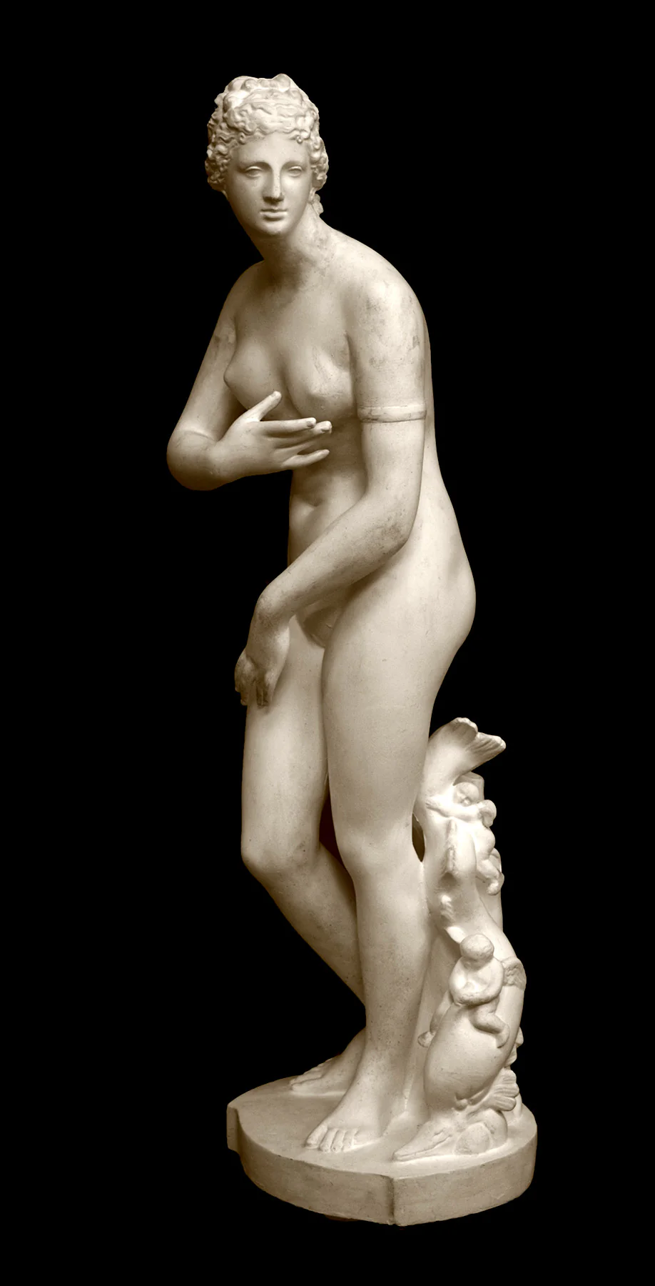 Venus de' Medici - Item #214 - Image 9