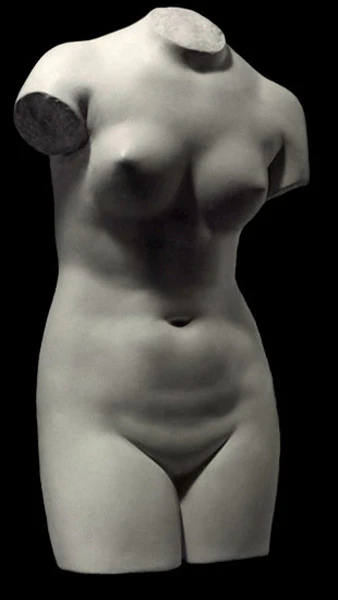 Venus de' Medici - Item #63 - Image 6