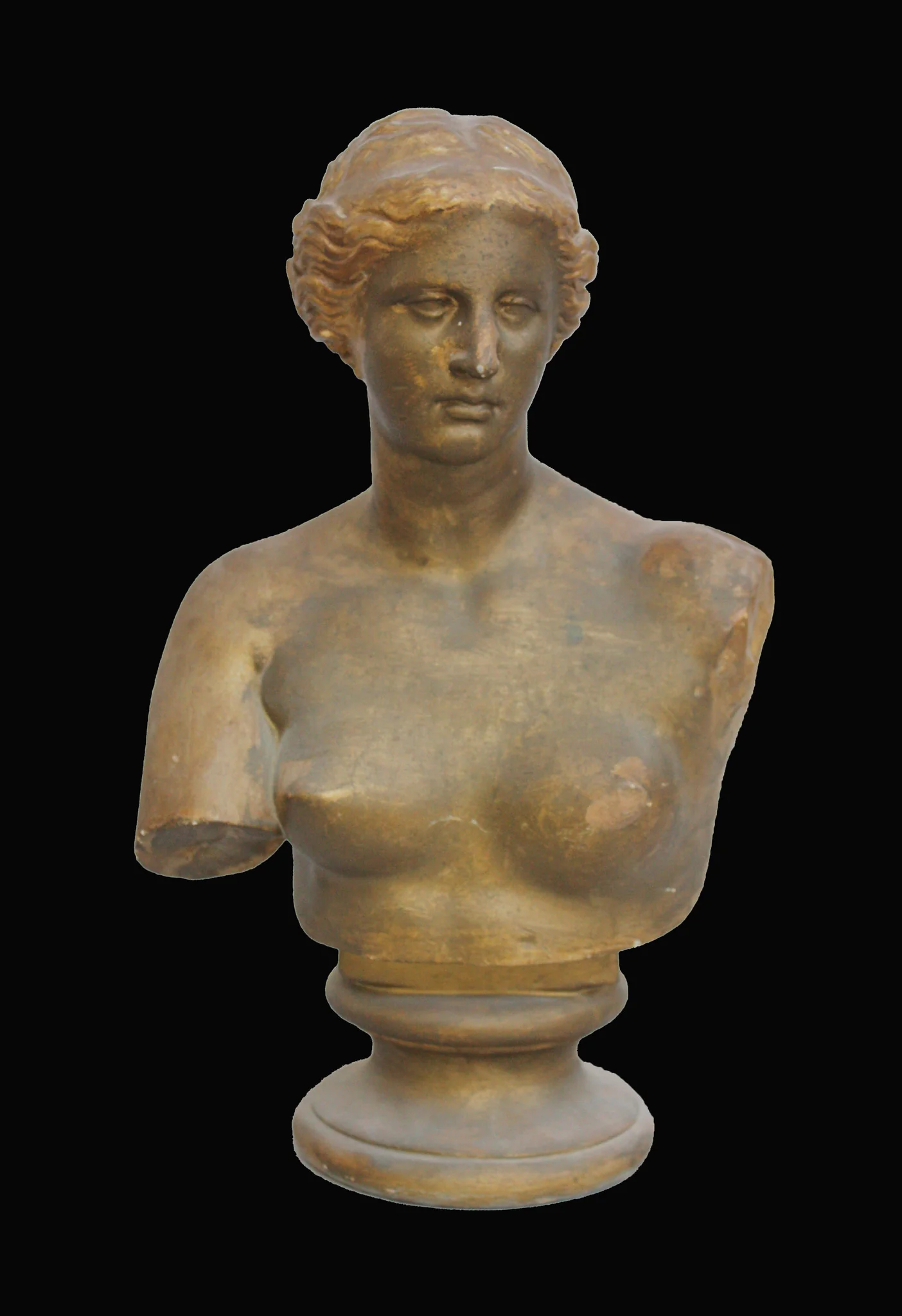 Venus de Melo Bust - Item #225