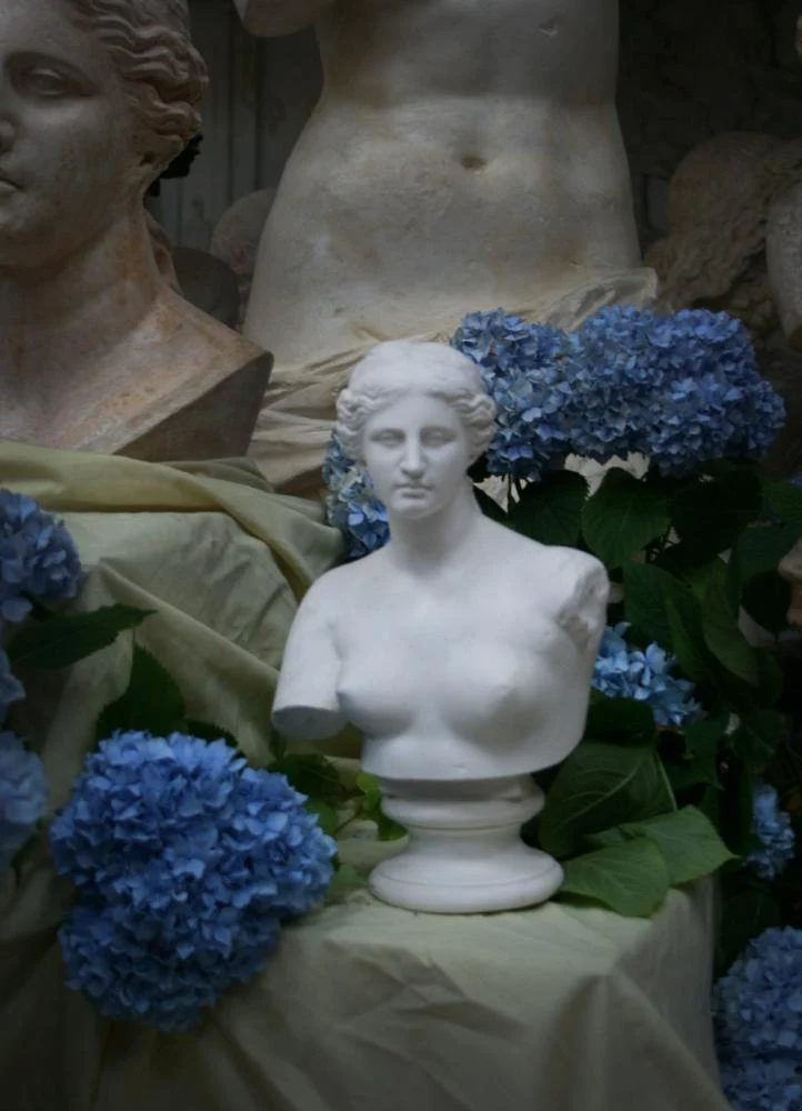 Venus de Melo Bust - Item #225 - Image 2