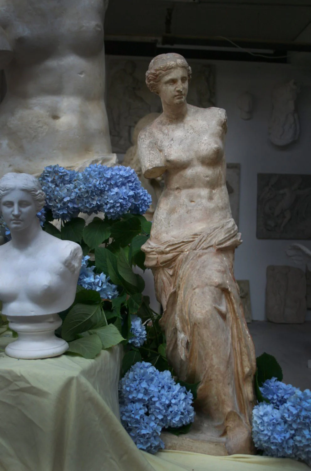 Venus de Melo 34" Reduction - Item #78 - Image 2